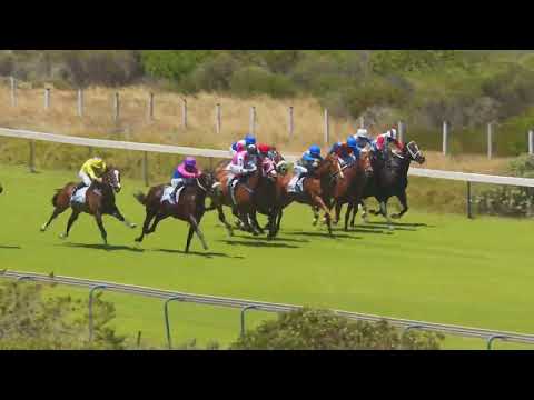 MR COBBS - RACE 4 #hollywoodbetskenilworth 07-01-2023