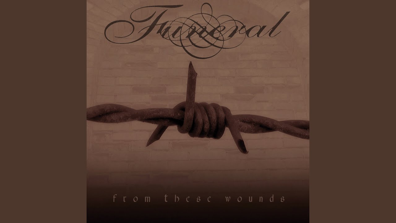 The Architecture Of Loss