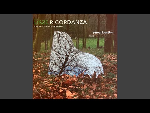 Grand galop chromatique, S. 219