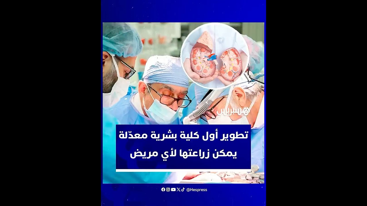 اختراق طبي جديد.. تطوير أول كلية بشرية معدّلة يمكن زراعتها لأي مريض thumbnail