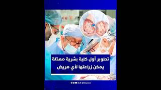 اختراق طبي جديد.. تطوير أول كلية بشرية معدّلة يمكن زراعتها لأي مريض thumbnail