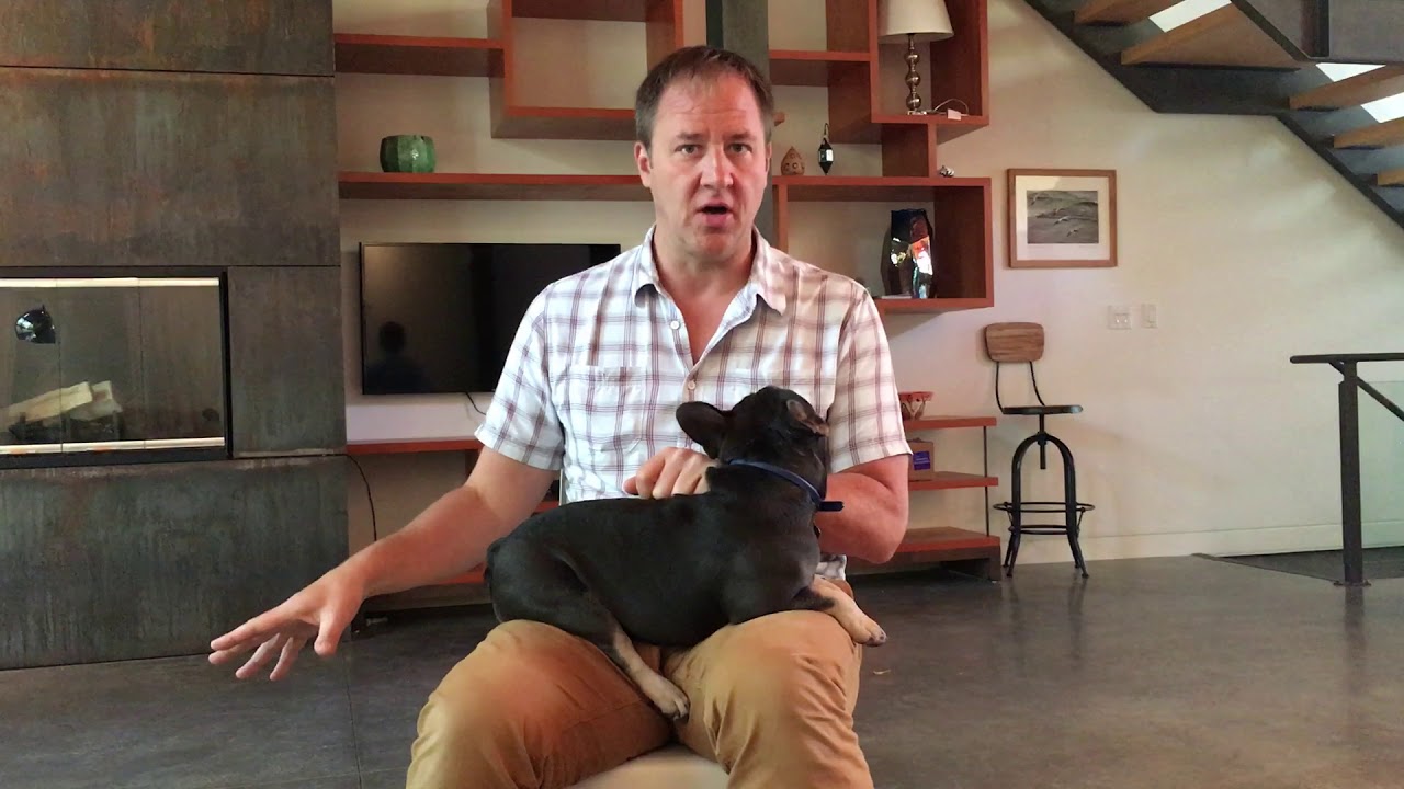 Lulu's Puppy Potty Training Tips