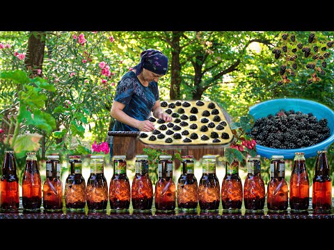 Picking Wild Blackberries in the Jungle Making Jam and Juice! - 1 Hour Of The Best Recipes