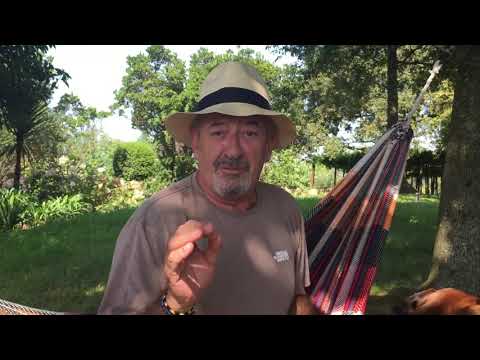 El chiste del conejo de Karlos Arguiñano