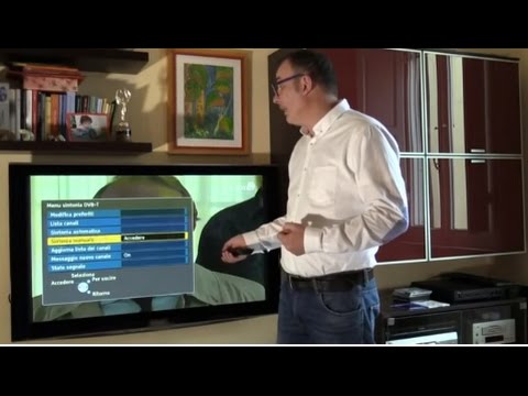 Minori sintomi di mal di schiena a salire Pomata Traumeel per le articolazioni e recensioni