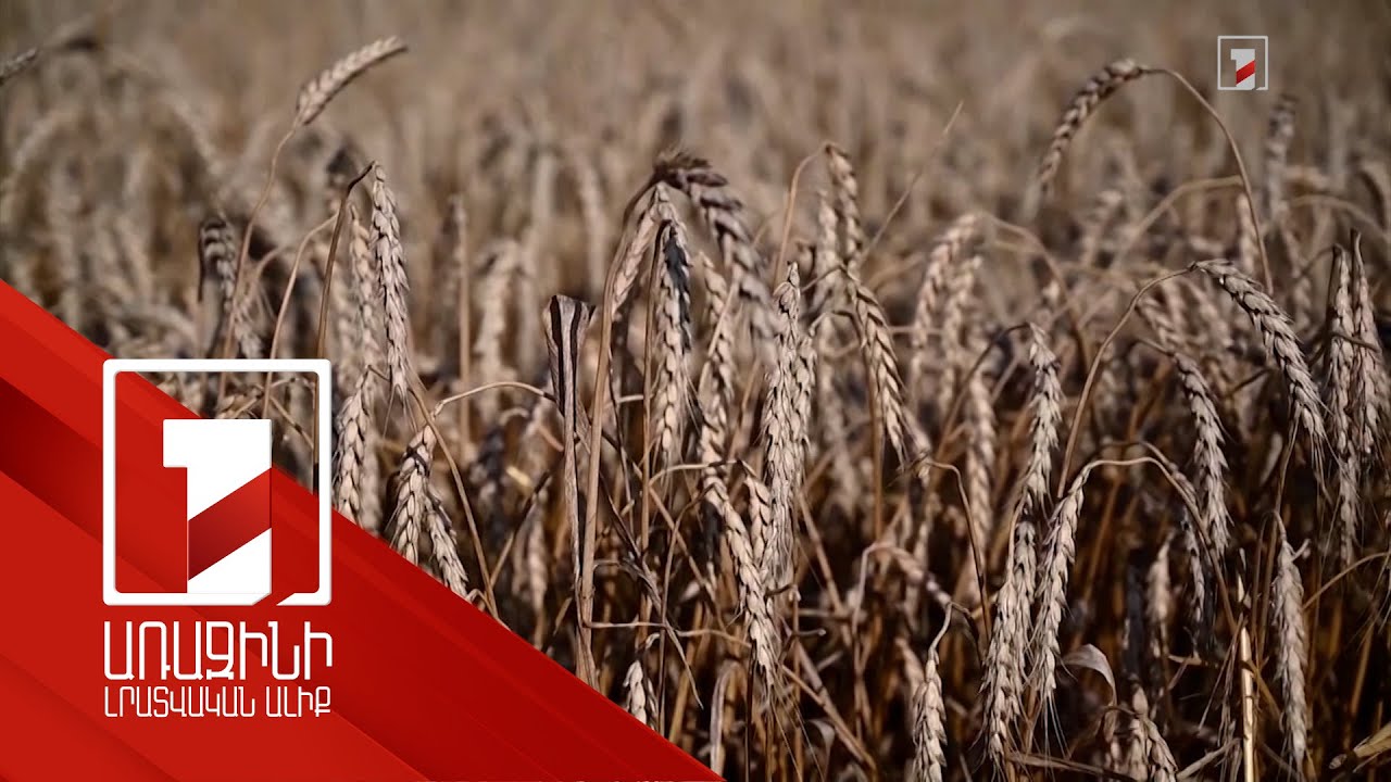 Հացահատիկի գործարքի դադարեցումը կհանգեցնի պարենային գների աճի. Էրդողան