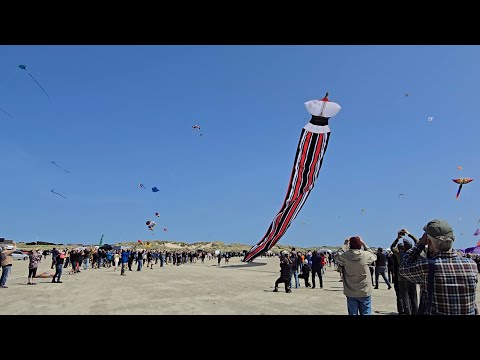 Fano 2025 Internationales Kiteflyermeeting