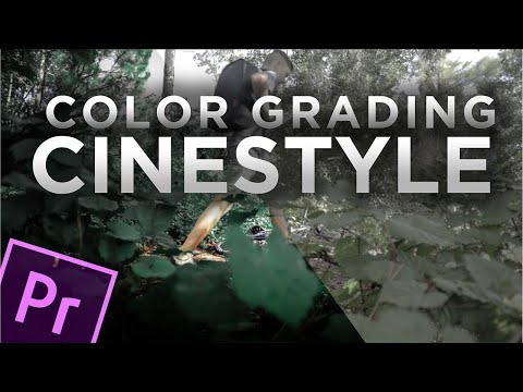 How I Color Grade CINESTYLE FOOTAGE // Premiere Pro Tutorial // Canon M50