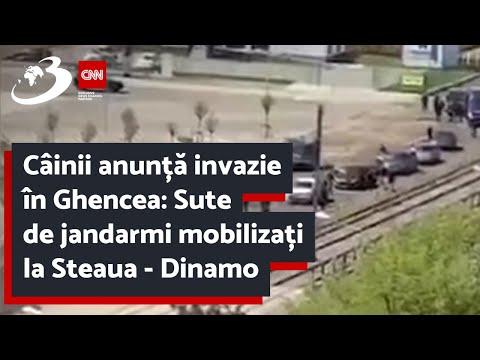 Câinii anunță invazie în Ghencea: Sute de jandarmi mobilizați la Steaua - Dinamo