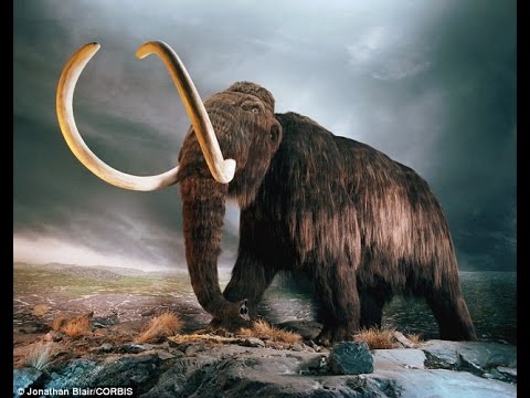 Отчего погибли Мамонты? / What Killed The Mammoths? (2007)