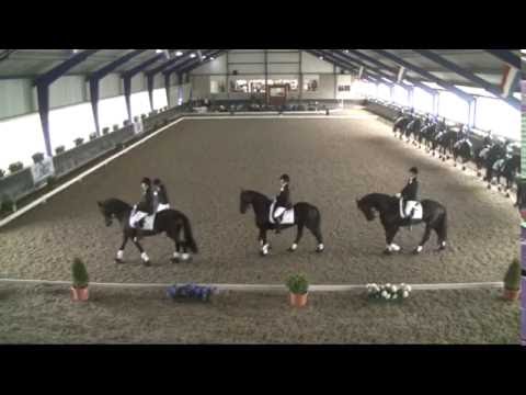 NK Carrousel 2016 Fryske Krêft DVD