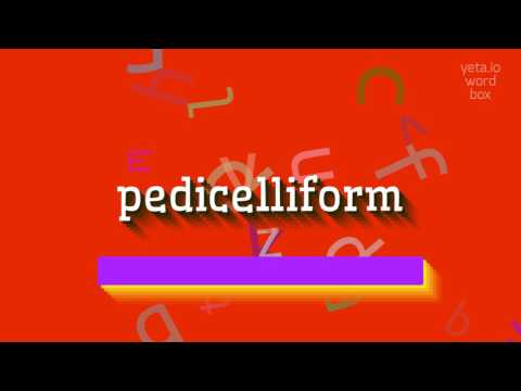 PEDICELLIFORM - HOW TO PRONOUNCE PEDICELLIFORM? #pedicelliform
