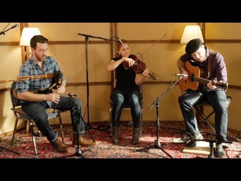 Live at Wilburland - Arise & Go -"The Dirty Bee"