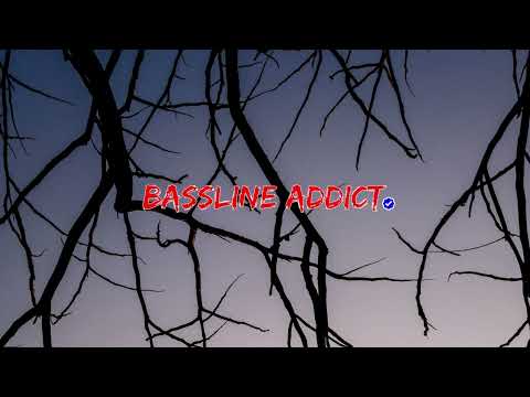 Wittyboy Ft. Bru C - Didn't See You│BasslineAddict