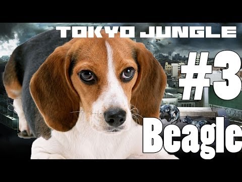 Tokyo Jungle - Beagle Survive over 100 years Part 3 of 4 (feat black panther boss)