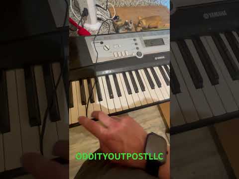 YPT-200 keyboard test demo