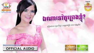 ឯណាទៅគូព្រេងខ្ញុំ - សួស វីហ្សា [OFFICIAL AUDIO] #RHM