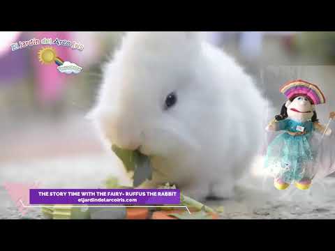 The story time with the fairy - Rufus the rabbit