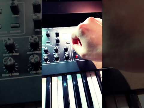 Psytrance on the Prophet Rev2 #psytrance #sequential #synth #prophetrev2 #dawless