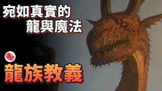 [閒聊] 宛如真實的龍與魔法–龍族教義：黑暗再臨