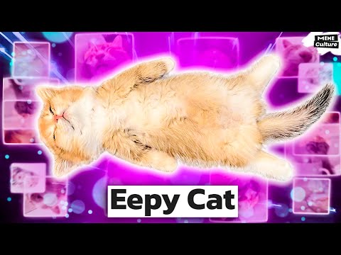 Eepy Definition