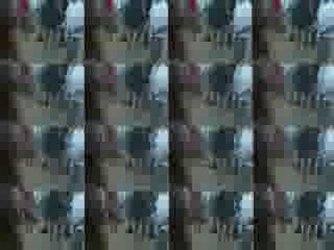 australia japan asicom trance festival 2006