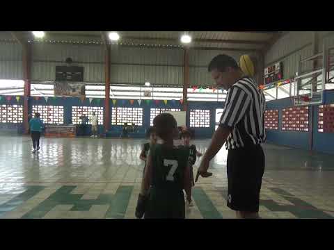 abb vs ciapr (5-19-19) vaqueritos