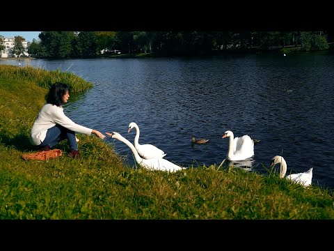 JOLANTA - Rudens valsis