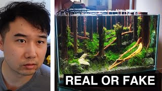 this Fish Tank looks so good they thought it was A.I. | Fish Tank Review 340