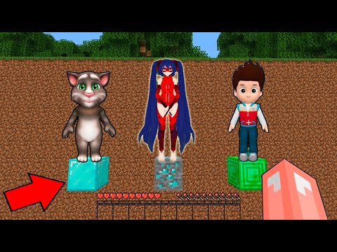 Traps for RYDER AND LADYBUG VS Talking Tom Cat HELP PAW PATROL in Minecraft - Coffin Meme