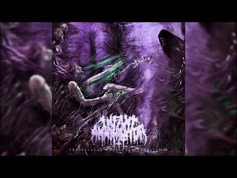 Infant Annihilator - Unholy gravebirth