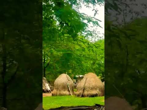 Village ❤️@PiPWorld by Bhuvana #nature #relaxing #music #kids #village #andhrapradesh