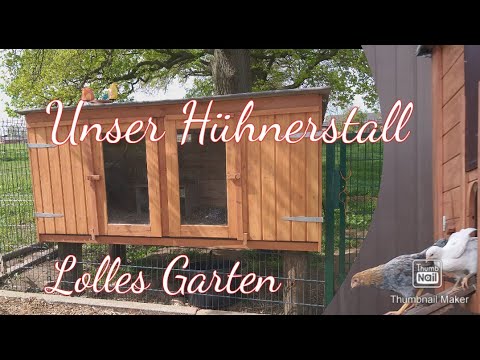 Unser Hühnerstall / Lolles Garten / Selbstversorgung Hühnerstall bauen Ideen