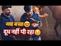 New Baby Horse Hamari Ek Aur Ghodi Ne Baccha Diya Baby Milk Nahi Pi Raha Hindi Vlog