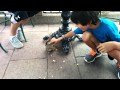 Boy Meets Squirrel