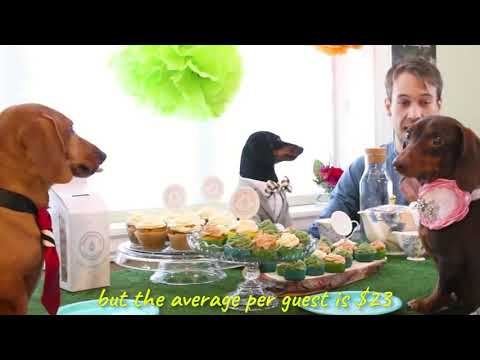 Ep 4: Crusoe and Oakley Host a Dachshund Cupcake Party