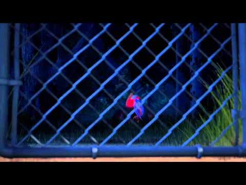 Индюки: Назад в будущее