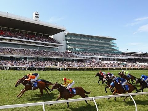 DARLEY CLASSIC-8 NOV FLEMINGTON