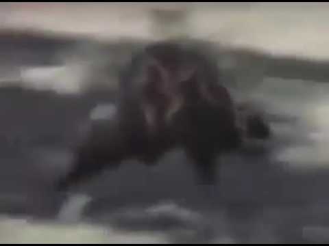 2018 Ferrari Modelleri