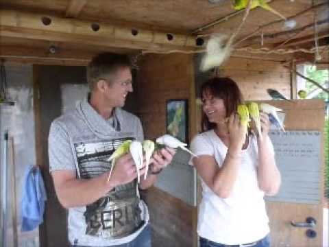 2014 05 24 Jürgen aus Bad Zwischenahn.wmv