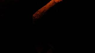 Dawn Richard cover ode to you