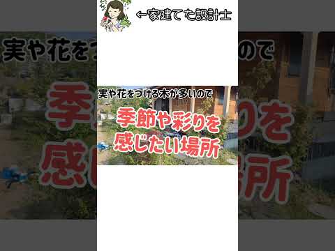 落葉樹と針葉樹のうち、嵐のときに壊れやすいのはどれですか?考慮すべき要素!  庭園