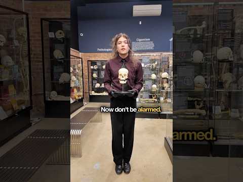 Renée Le Fort fracture