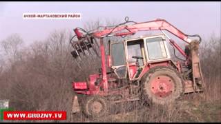 Высококачественная продукция – визитная карточка госхоза «Орджоникидзевский»