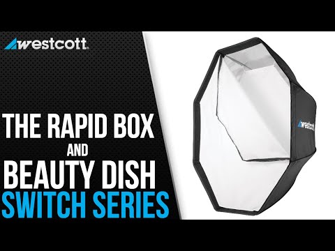 Westcott Beauty Dish Switch (White Interior)