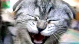 Bis - Arthur Verocai