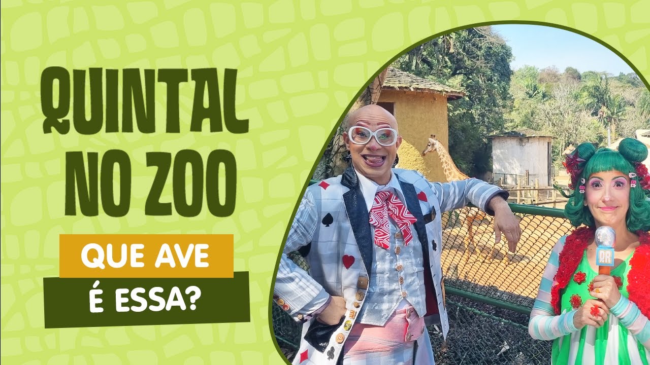 QUINTAL NO ZOO | QUE AVE É ESSA? | QUINTAL DA CULTURA