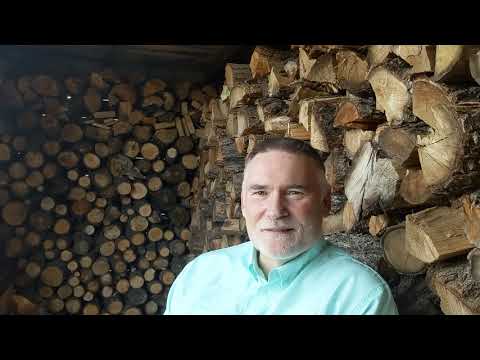 "Fire" by Judy Brown