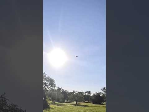 CAMPING GRATIS SALADERO GUAVIYÚ