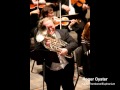 Carnival Of Venice - Roger Oyster